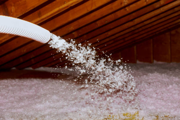 Best Residential Insulation in Rendon, TX