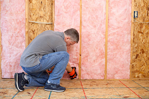 Best Insulation Maintenance and Repair in Rendon, TX
